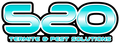 Phoenix, AZ's #1 Termite and Pest Solution Service Logo