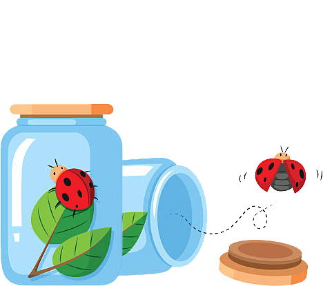 bugs-in-jar